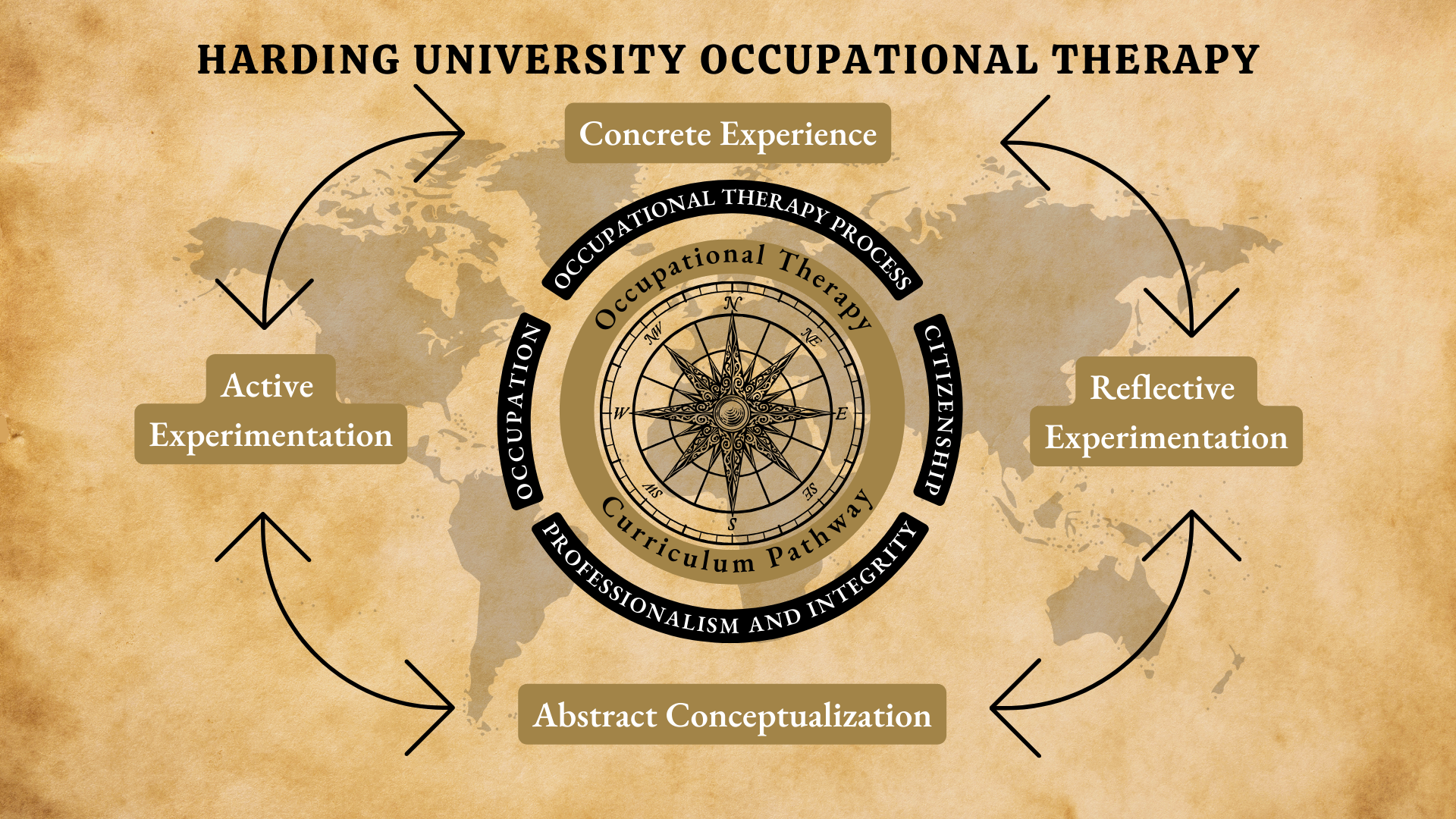 Occupational Therapy Compass